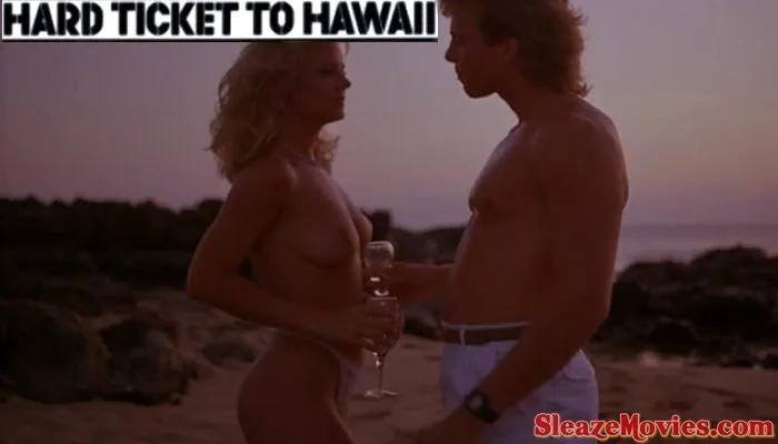 Hard Ticket to Hawaii (1987) watch online