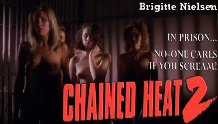 Chained Heat II (1993) watch online