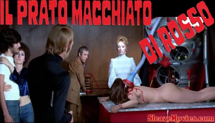 The Bloodstained Lawn (1973) watch online