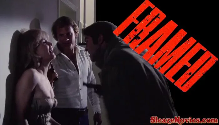 Framed (1975) watch online