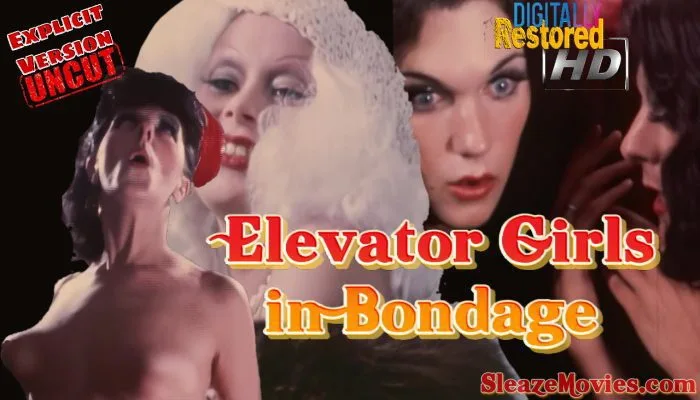 Elevator Girls in Bondage (1972) watch uncut