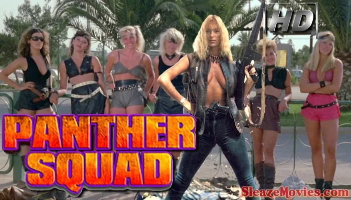 The Panther Squad (1984) watch online